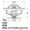 RENAU 0024774033 Thermostat, coolant